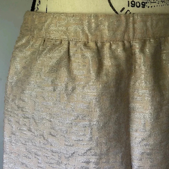 Loft Metallic Blush Skirt - Picture 2 of 7